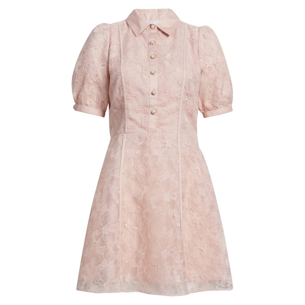 Chelsea28 Embroidered Puff Sleeve Mini Dress Floral Pink Sepia M Preppy Coquette
